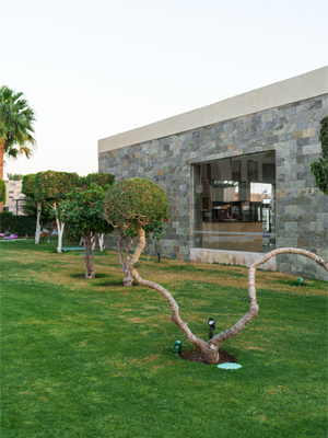 Residential Landscaping